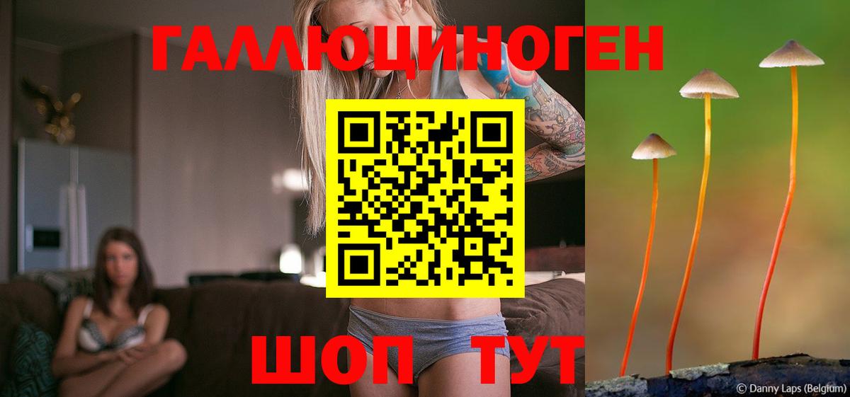 Псилоцибиновые грибы Cubensis Вичуга